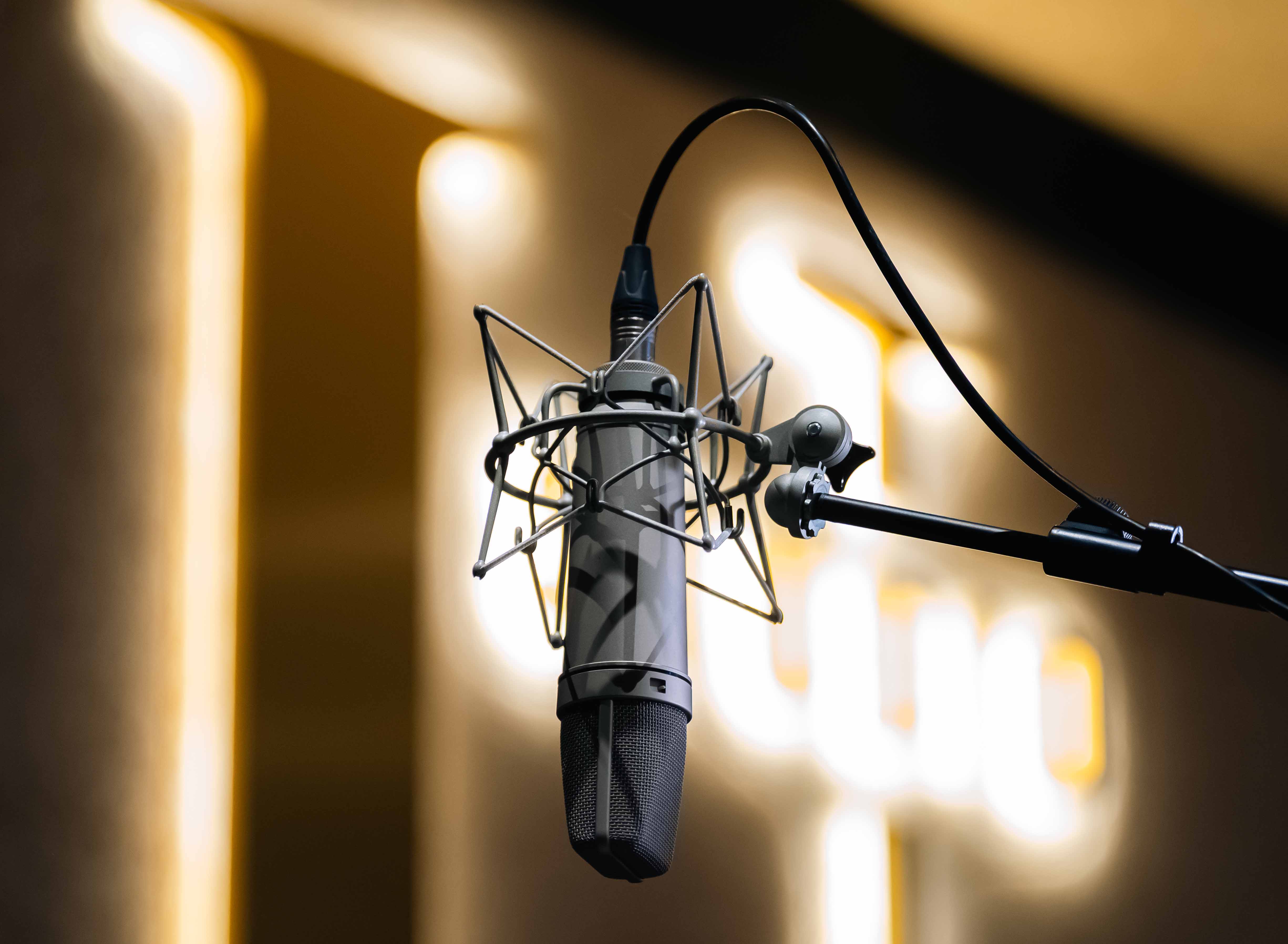 U STUDIO Voice Over Equipment